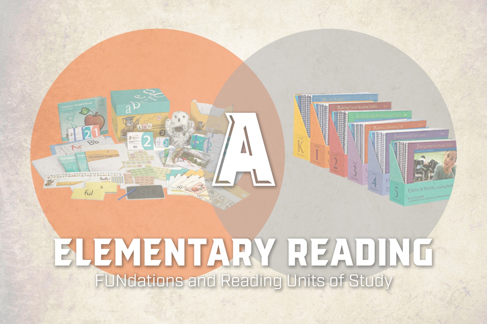 10 Elementary Reading